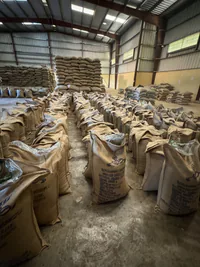 Эфиопия Воллага Анфило — фото 5