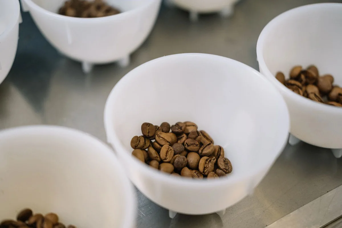 Каппинг образцов в лаборатории Tasty Coffee